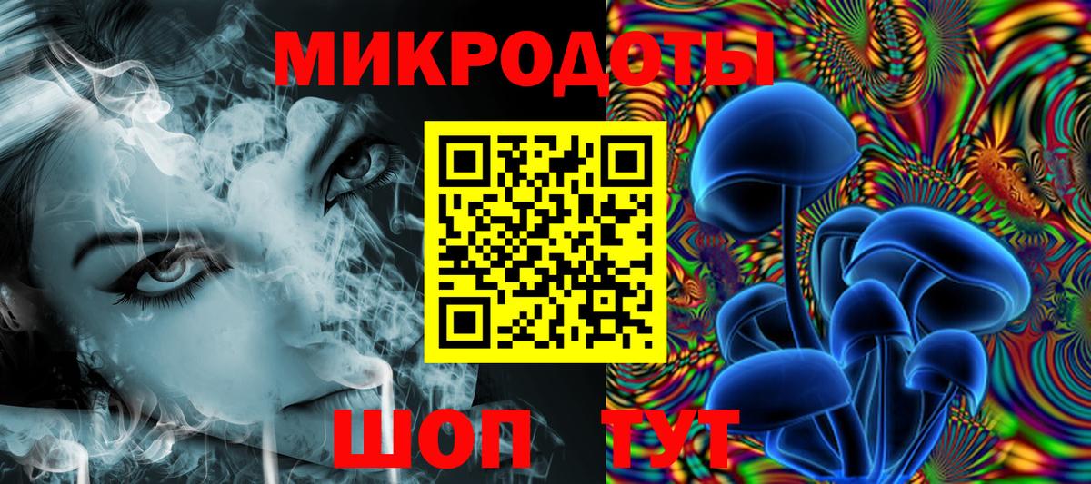 Галлюциногенные грибы Psilocybe Бузулук